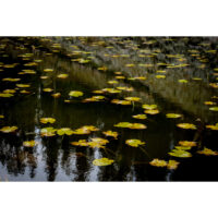 High Altitude Lake