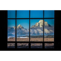 Window View